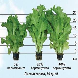 Вермикулит вспученный ВВ-150 (мешок 50 литров)
